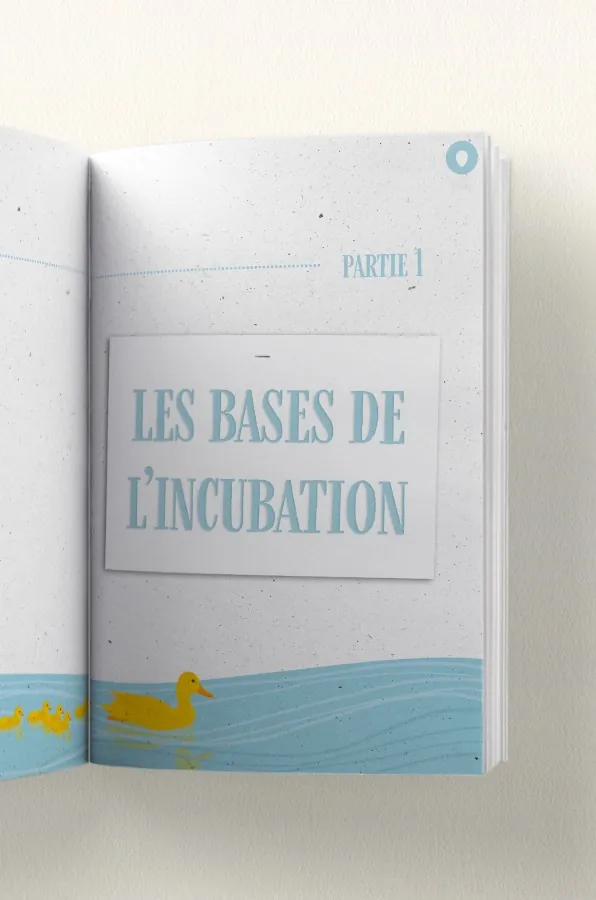 Ouverture du chapitre «&nbsp;Les bases de l'incubation&nbsp;» dans le Manuel de l'Incubation
